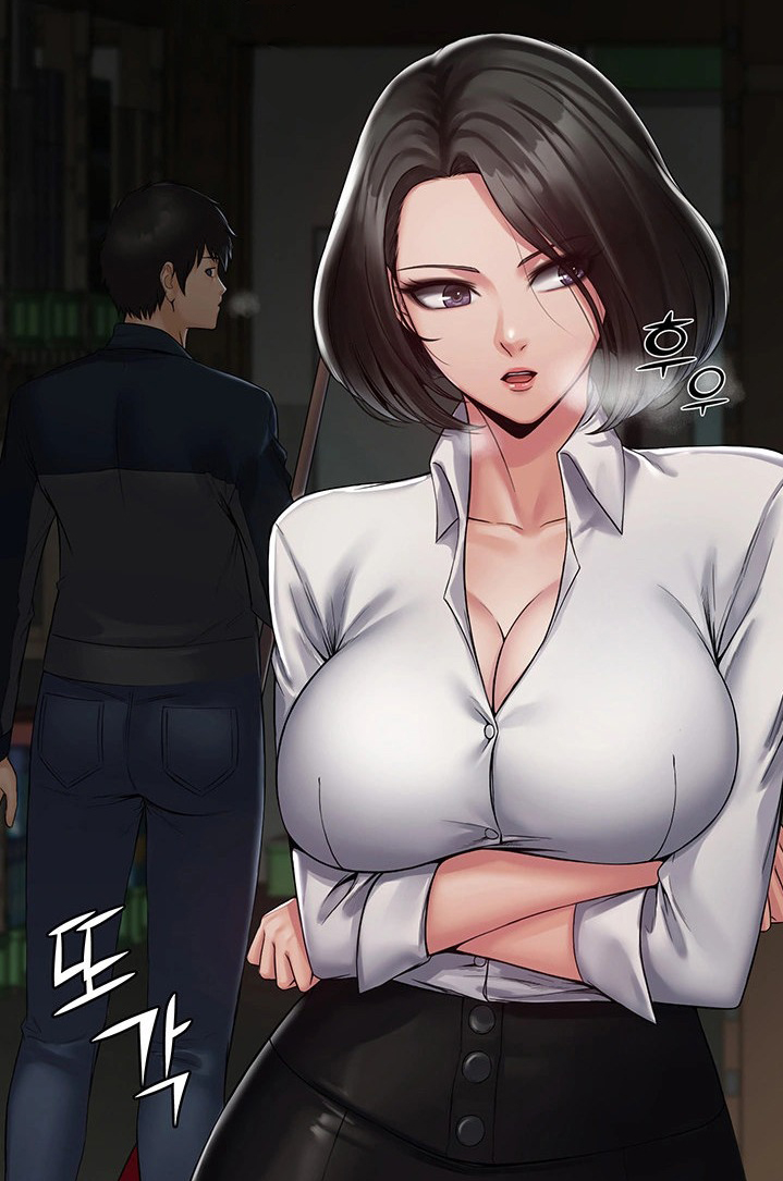 Succubus System Cover